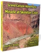 Grand Canyon Adventure: Miracle at Skeleton Cove by David C. Reyes